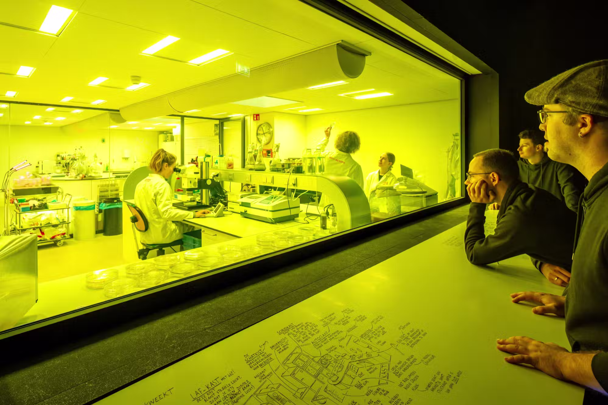 Micropia 8